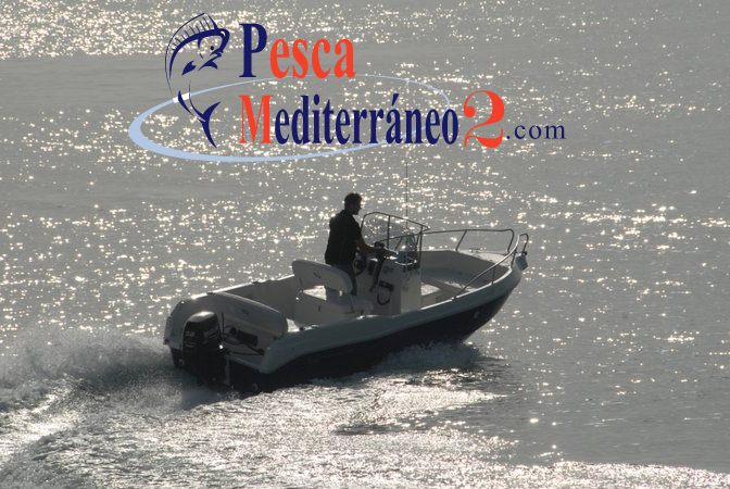 playamar 505