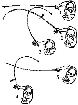 spinning lance vertical