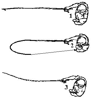 spinning lance ballesta