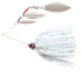 2014spinningimage4005.gif