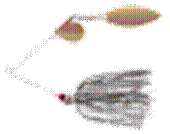 2014spinningimage4007.gif