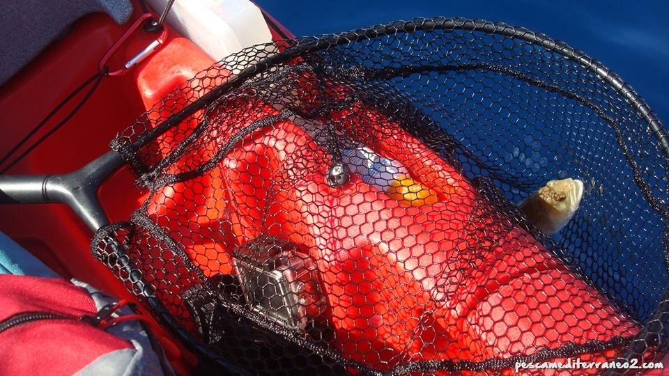 peligros pesca