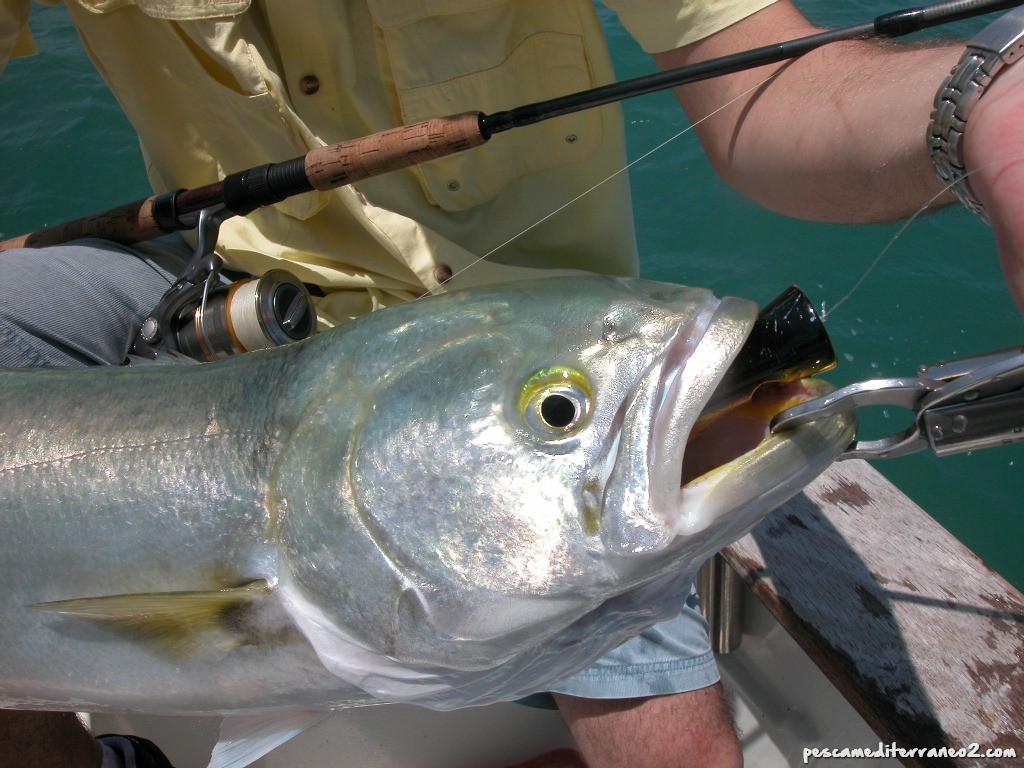 peligros pesca