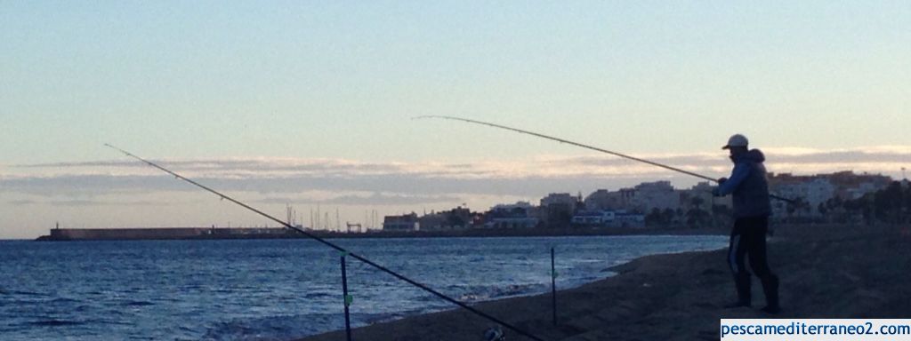 Sargos a surfcasting en almería