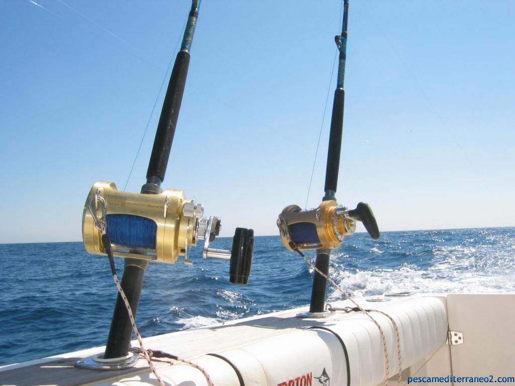 Más información sobre "CÓMO ELEGIR CARRETE Y LÍNEA DE PESCA PARA NUESTRO EQUIPO (2020)"