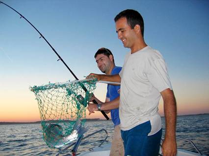  Soporte de pared horizontal para caña de pescar para guardar 10  cañas de pescar con tornillos W - Sin caña de pescar : Deportes y  Actividades al Aire Libre