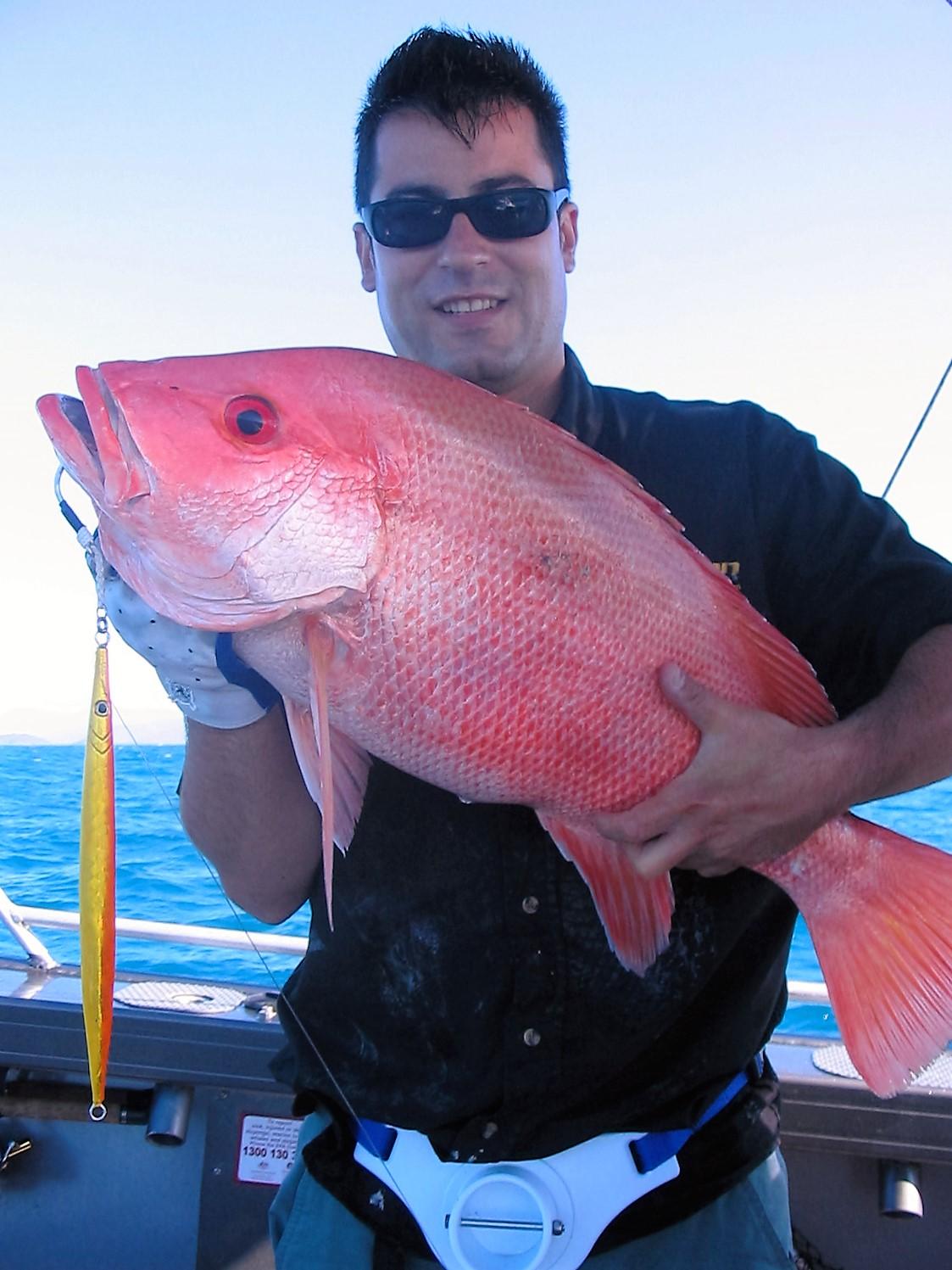 Más información sobre "PESCA EN TROPICAL NORTH, QUEENSLAND"