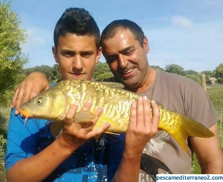 pesca