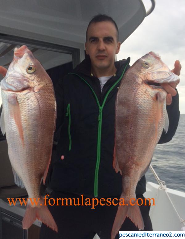 CAPTURAS FORMULAPESCA
