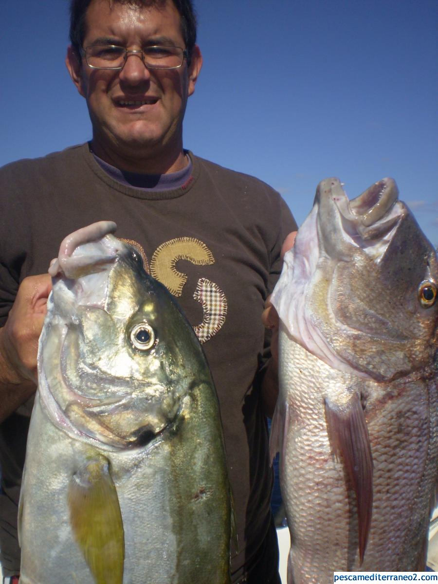 lanzarote fishing team