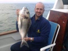 Dorada 3,5 kg