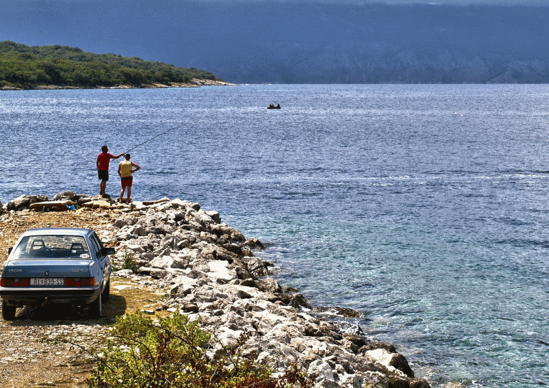 Más información sobre "Consejos practicos para el coche de pesca"