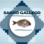 sargogallego