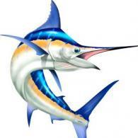 TopMarlin