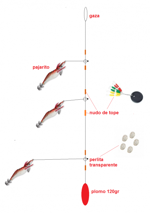 aparejo calamares.png