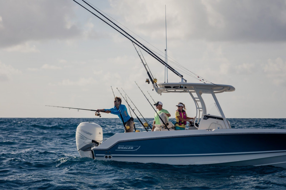 Barco consola central pesca Boston Whaler 230 OUTRAGE