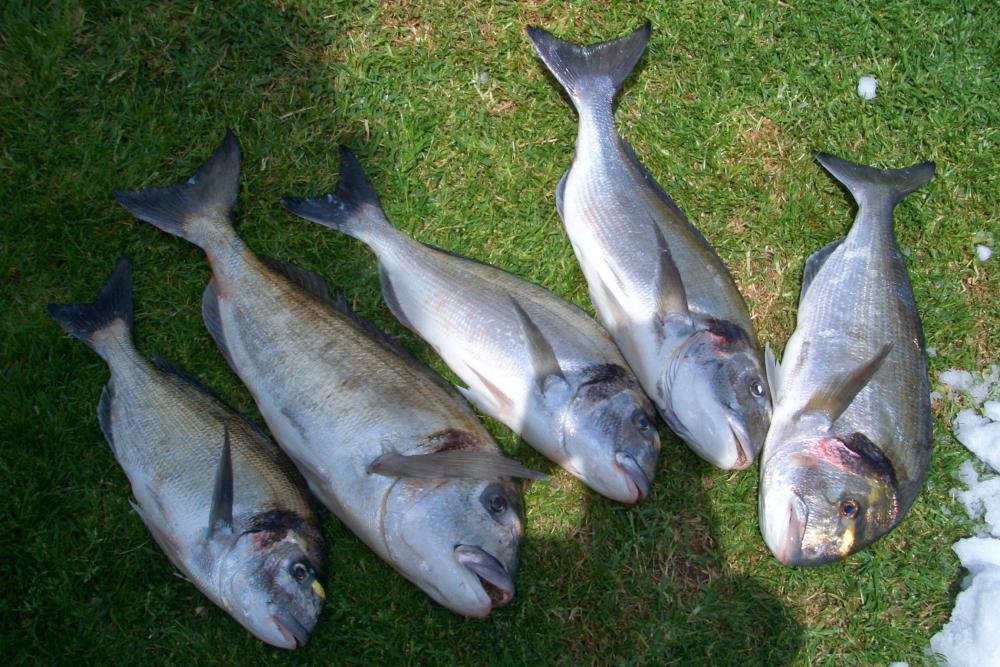 FOTOS VARIAS 090.jpg