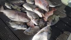 IMG-20201002-WA0003.jpg