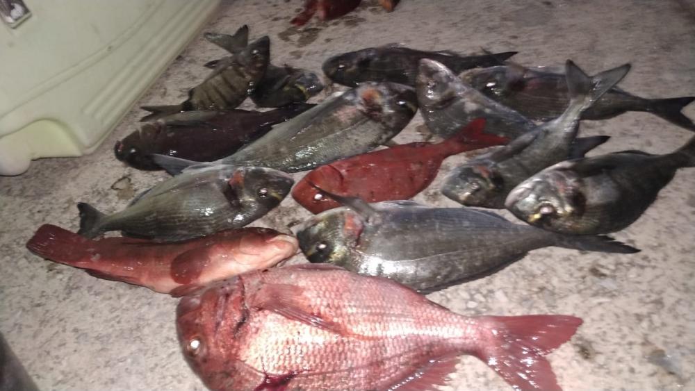 WhatsApp Image 2020-12-31 at 13.24.06.jpeg