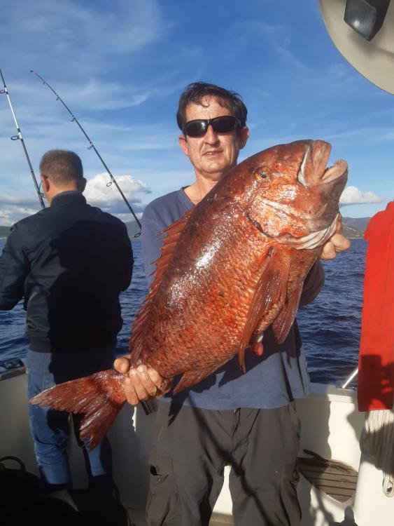 WhatsApp Image 2020-12-18 at 19.20.01.jpeg