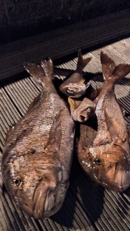 WhatsApp Image 2020-12-29 at 15.24.58.jpeg