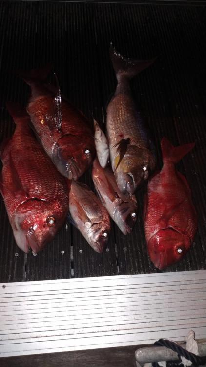 WhatsApp Image 2020-12-29 at 15.24.20.jpeg