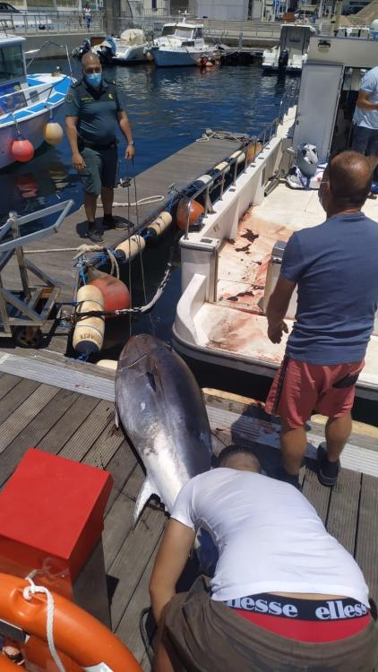 WhatsApp Image 2021-06-23 at 21.07.22.jpeg