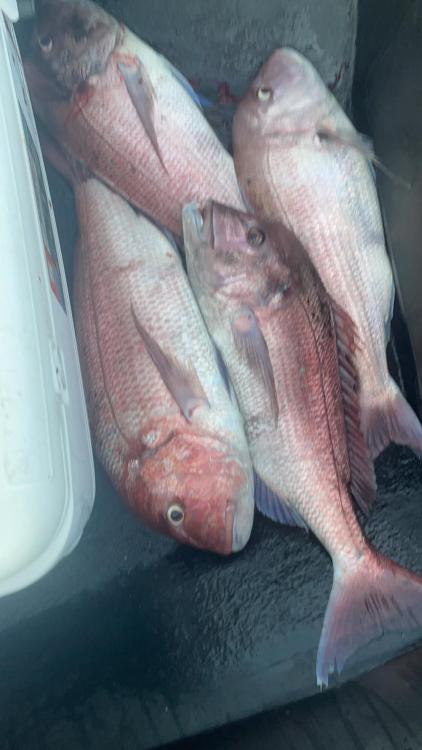 WhatsApp Image 2021-10-29 at 11.41.13.jpeg