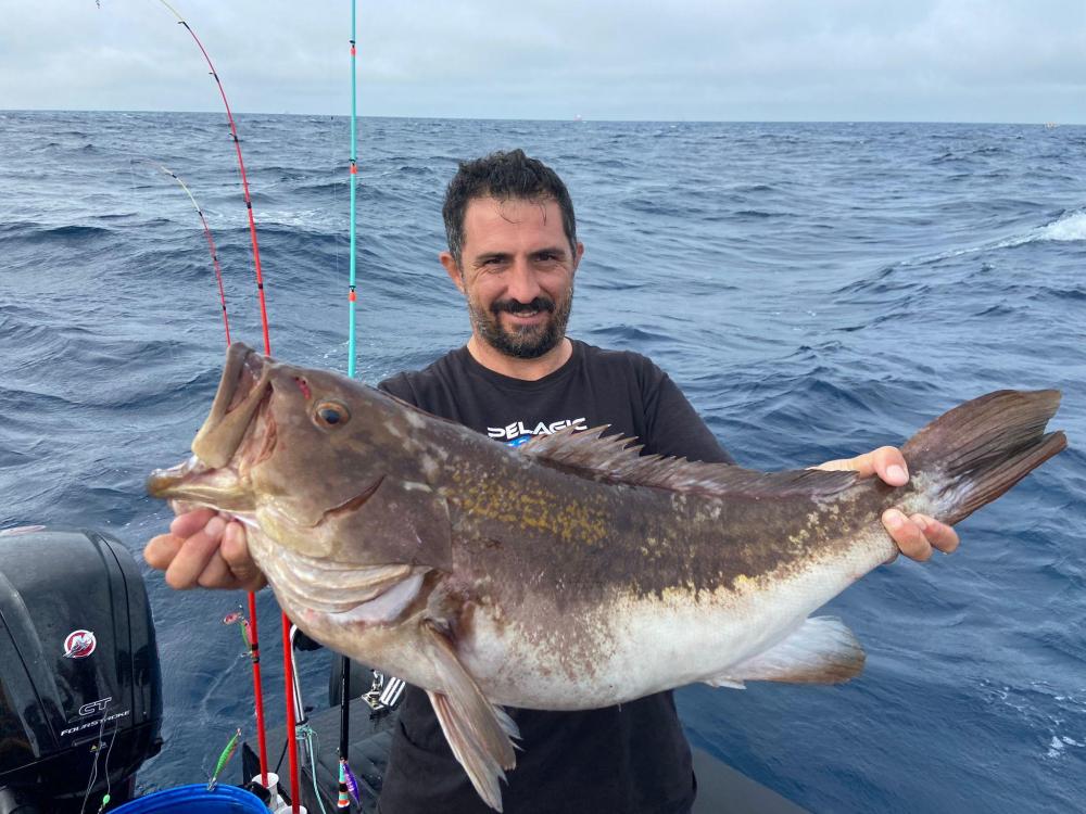 WhatsApp Image 2021-10-29 at 17.57.35.jpeg