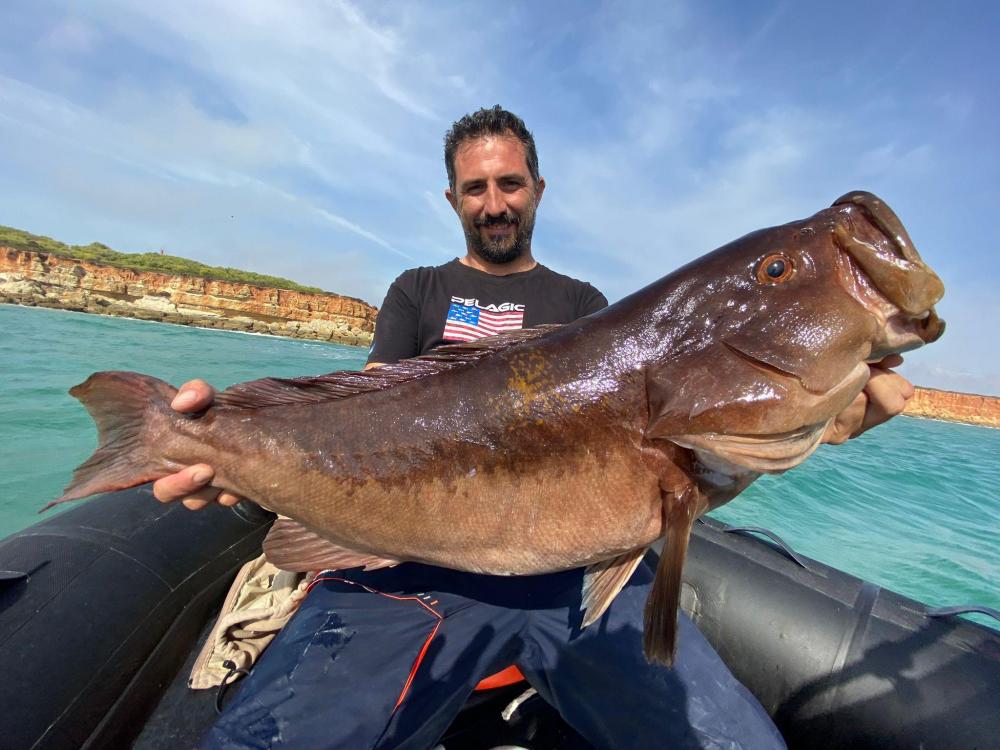 WhatsApp Image 2021-10-29 at 18.05.10.jpeg