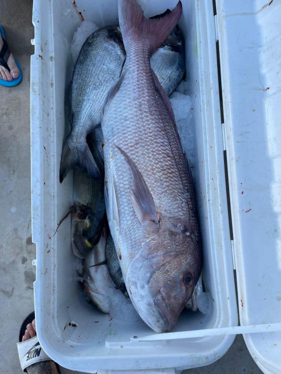 WhatsApp Image 2021-10-29 at 11.40.26.jpeg