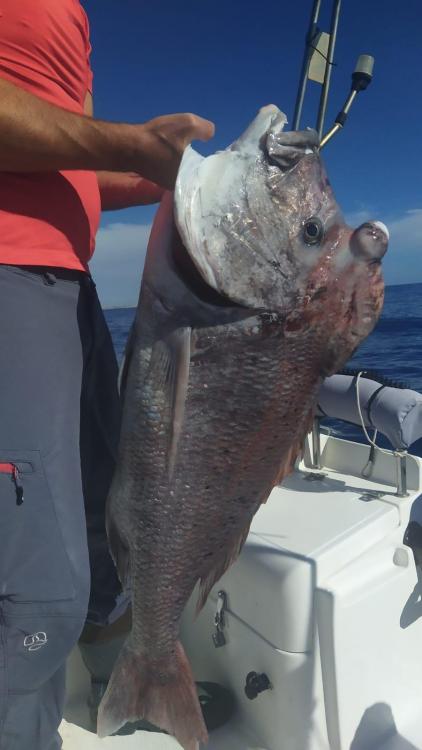 WhatsApp Image 2021-10-29 at 11.39.07.jpeg