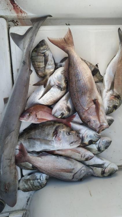 WhatsApp Image 2021-11-23 at 19.19.07.jpeg