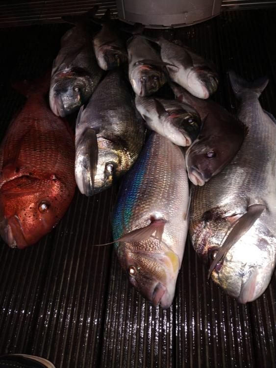 WhatsApp Image 2021-11-23 at 19.18.11.jpeg