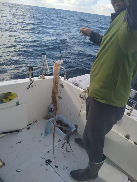 WhatsApp Image 2021-11-25 at 08.45.49.jpeg