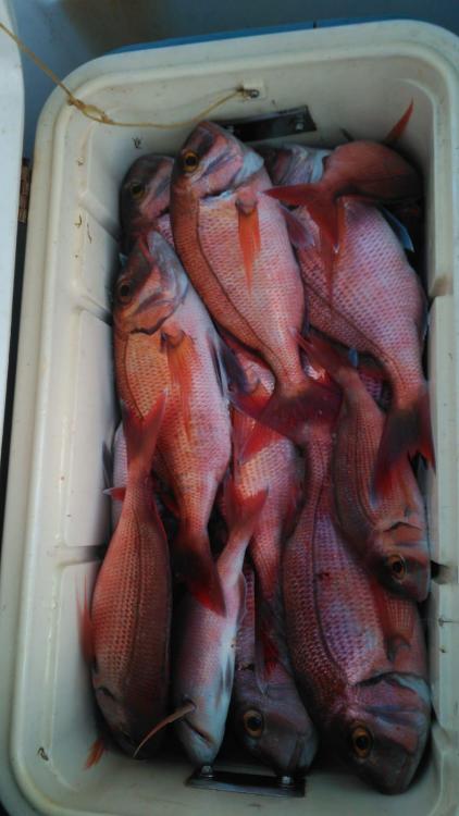 WhatsApp Image 2021-11-23 at 19.17.31.jpeg