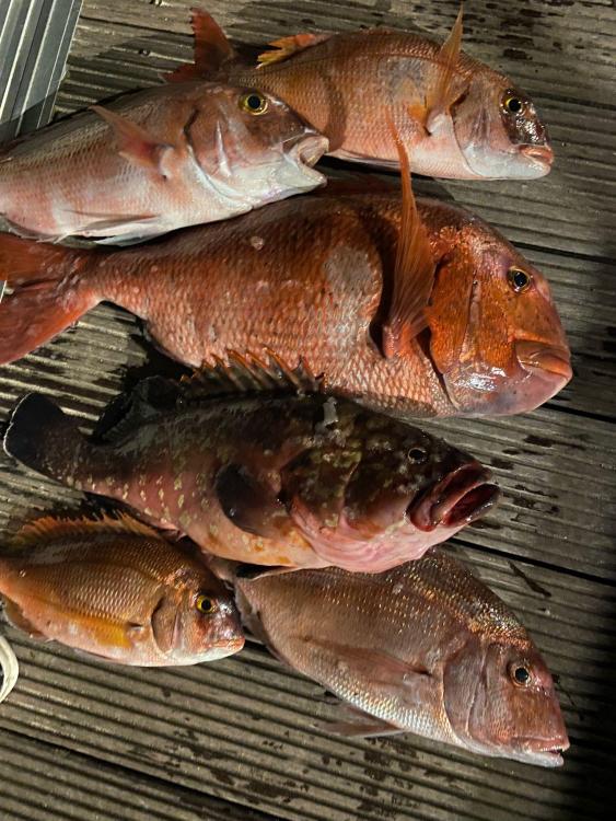 WhatsApp Image 2021-11-25 at 08.18.30.jpeg