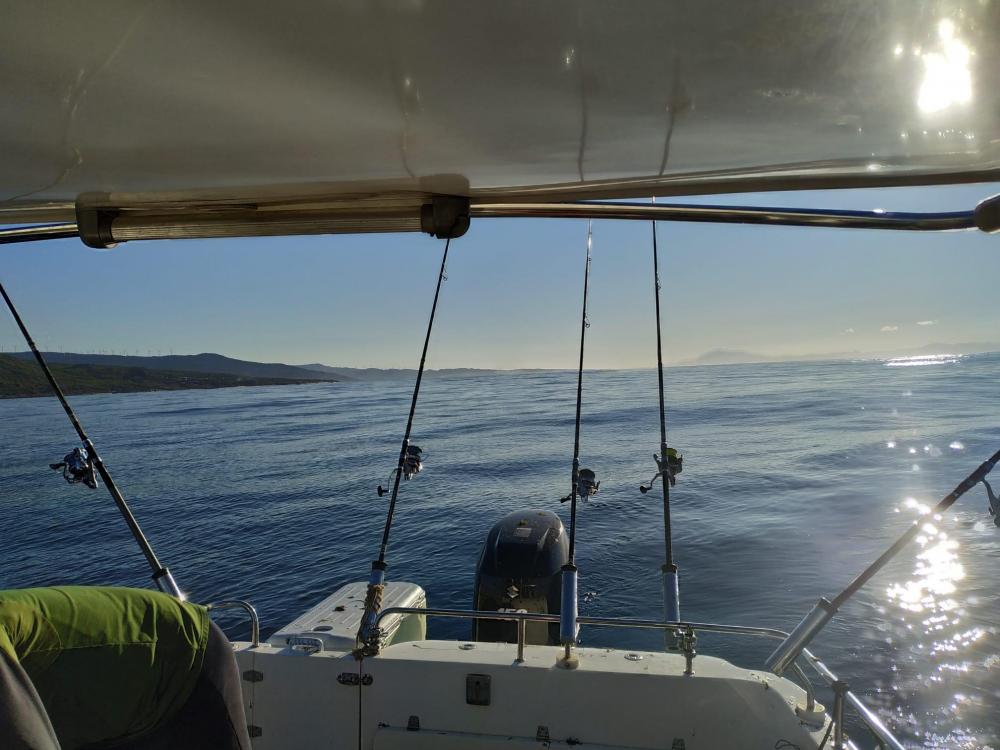 WhatsApp Image 2021-11-25 at 08.46.49.jpeg