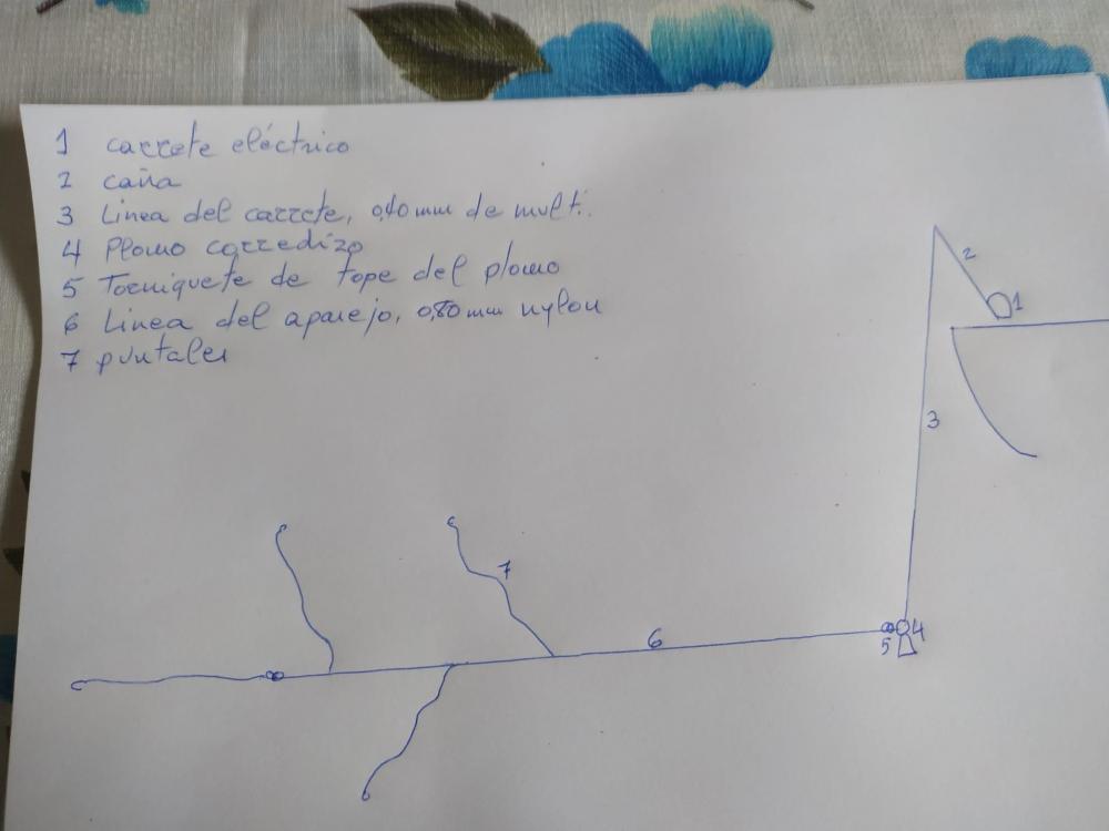 WhatsApp Image 2022-01-24 at 15.12.03.jpeg