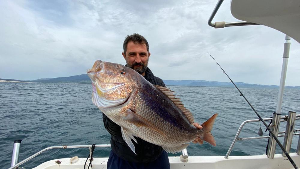 WhatsApp Image 2022-02-04 at 14.06.52.jpeg