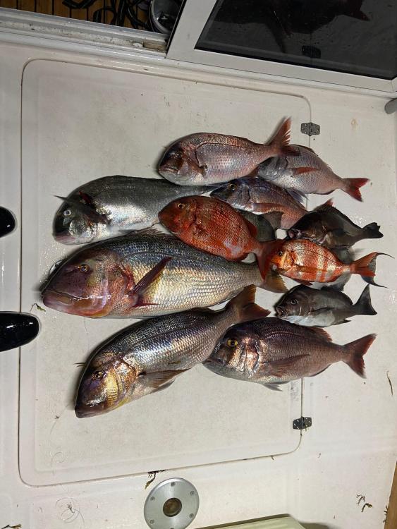 WhatsApp Image 2022-02-15 at 21.09.01.jpeg