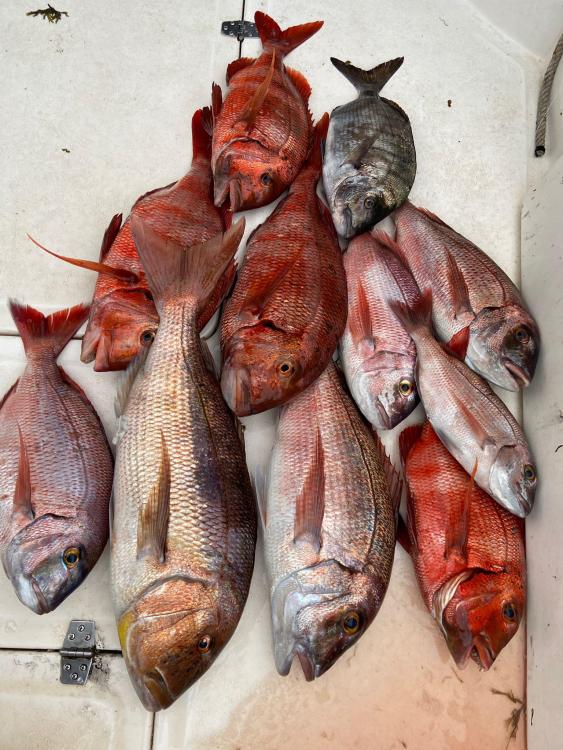 WhatsApp Image 2022-02-04 at 19.04.14.jpeg