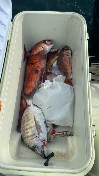 WhatsApp Image 2022-02-04 at 12.21.41.jpeg