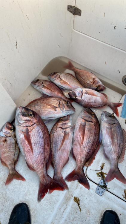 WhatsApp Image 2022-02-01 at 23.10.12.jpeg