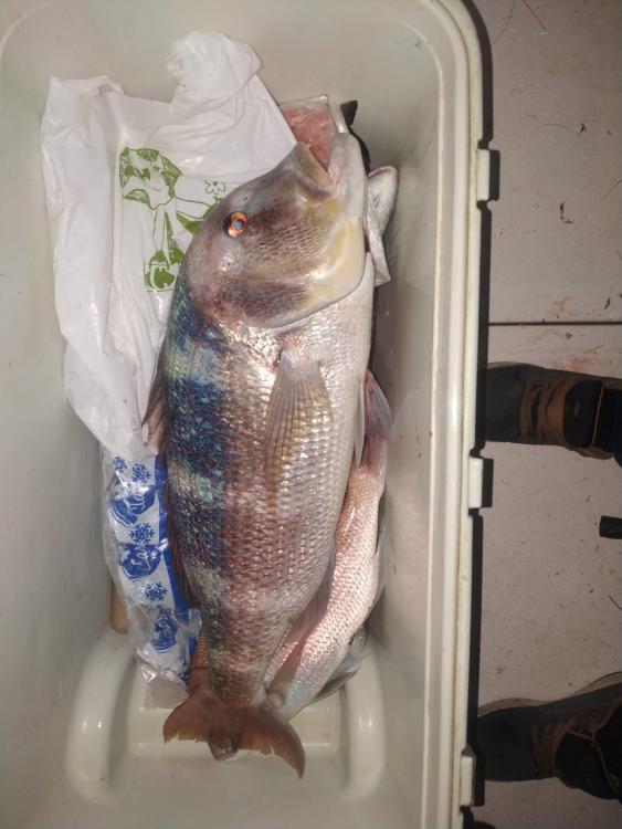 WhatsApp Image 2022-12-24 at 00.28.43.jpeg