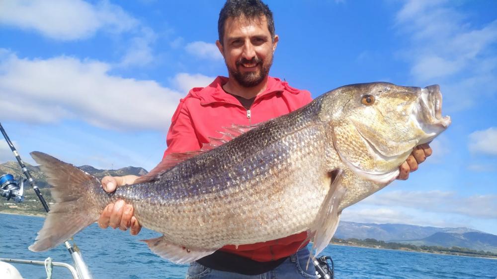 WhatsApp Image 2021-02-02 at 15.22.57.jpeg