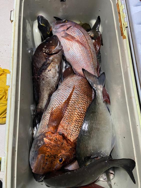 WhatsApp Image 2022-12-01 at 07.04.17.jpeg