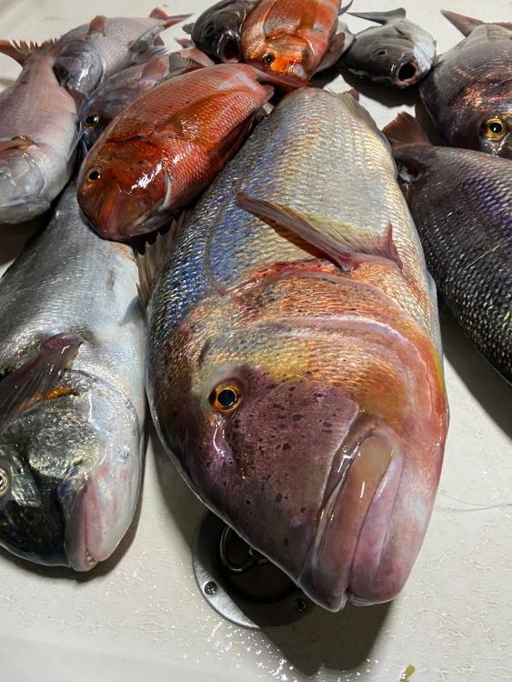 WhatsApp Image 2023-01-03 at 07.46.09.jpeg