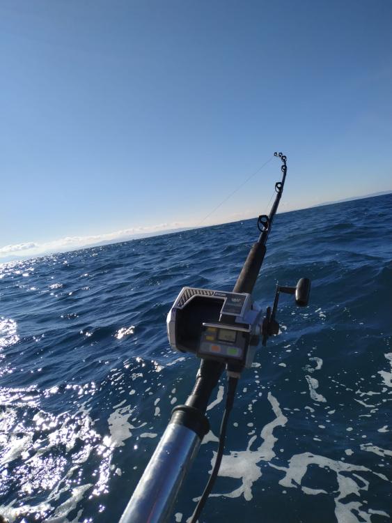 WhatsApp Image 2023-01-28 at 13.24.53 (1).jpeg