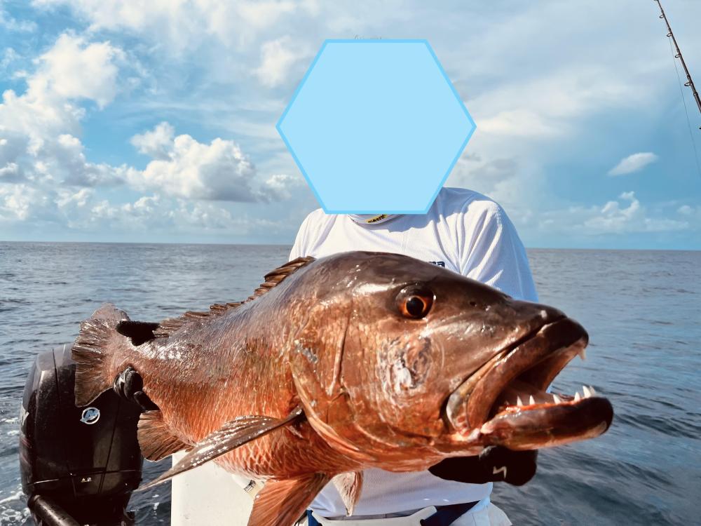 IMG_026195 (Conflicto de mayúsculas y minúsculas).jpg